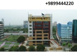 corporate building for sale noida